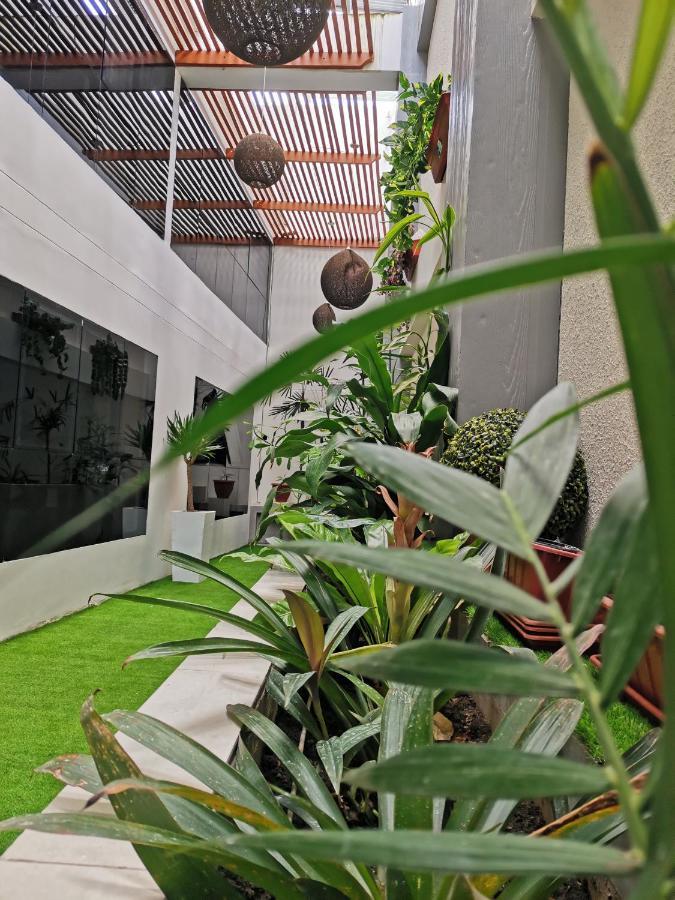 Murano Hotel Moyobamba Ngoại thất bức ảnh